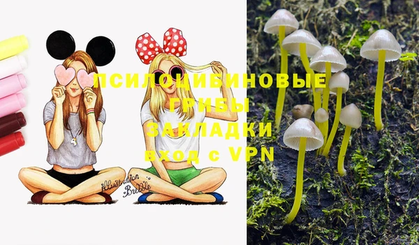 PSILOCYBIN Верхнеуральск